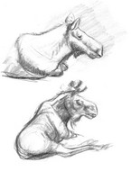 Highlight for Album: Life Drawings